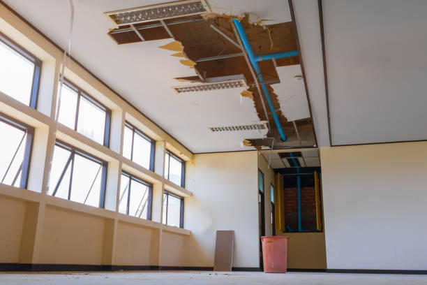 Best Flood restoration services  in Linn, MO