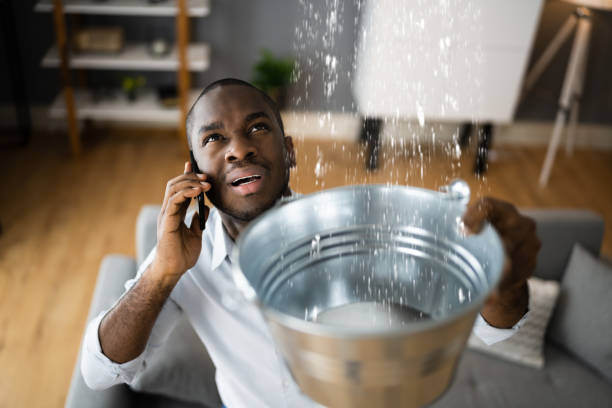 Best Local water damage restoration  in Linn, MO