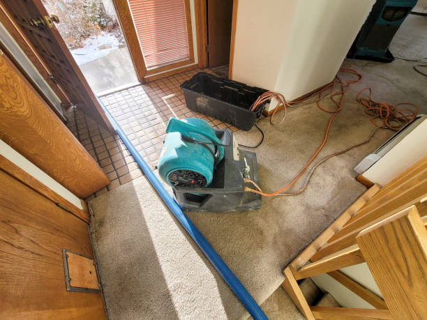 Best Sewage cleanup and water damage restoration  in Linn, MO