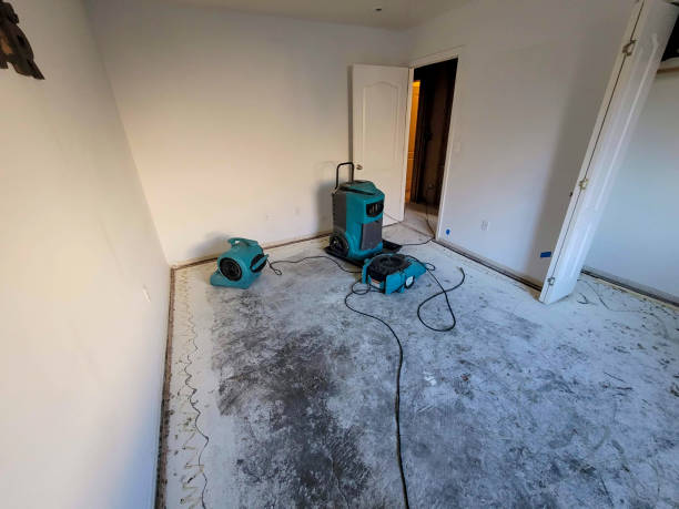 Best Water damage contractors near me  in Linn, MO