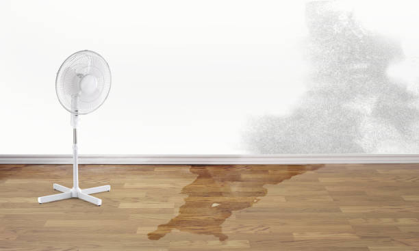 Best Emergency water damage restoration  in Linn, MO