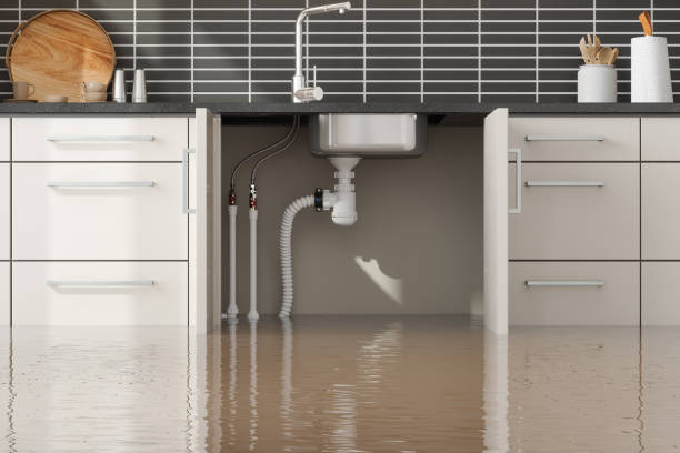 Best Water damage restoration near me  in Linn, MO