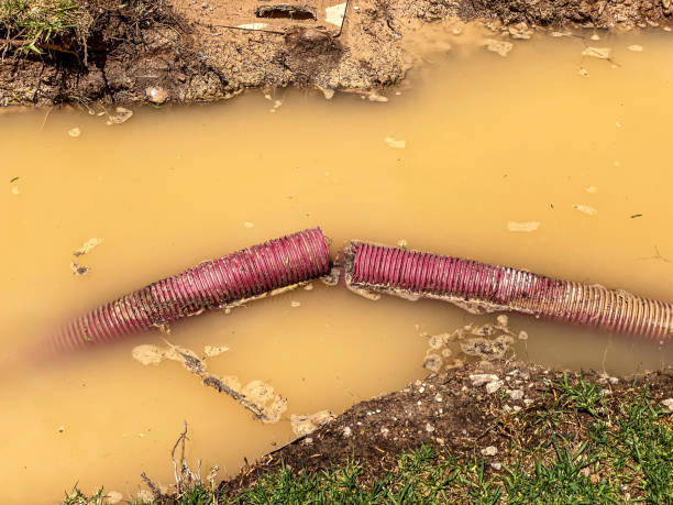 Best Carpet water damage restoration  in Linn, MO